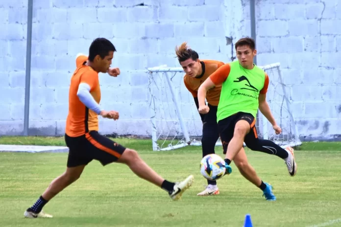 WhatsApp Image 2024-07-10 at 1.09.10 PM correcaminos