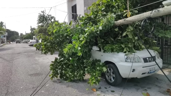 WhatsApp Image 2024-07-10 at 8.17.47 AM CAMION