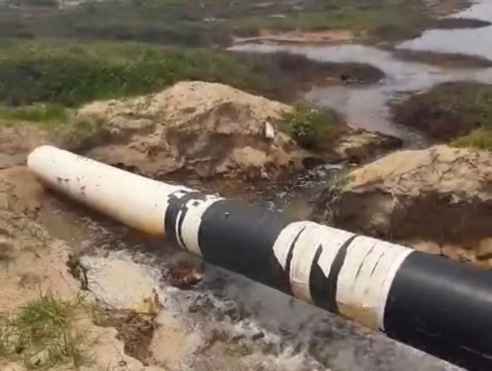 WhatsApp Image 2024-07-26 at 10.50.11 AM