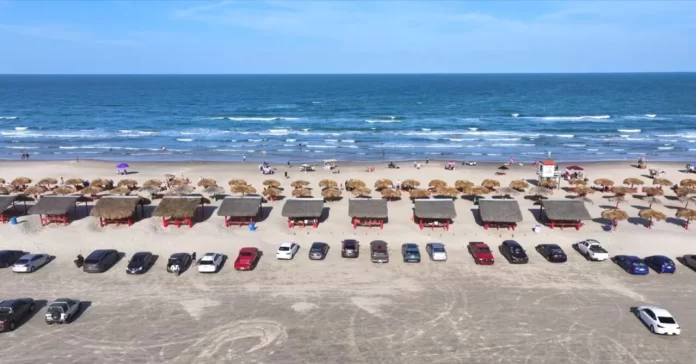 WhatsApp Image 2024-07-28 at 2.54.26 PM