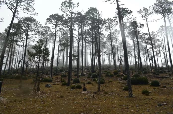 WhatsApp Image 2024-07-28 at 6.03.44 PM