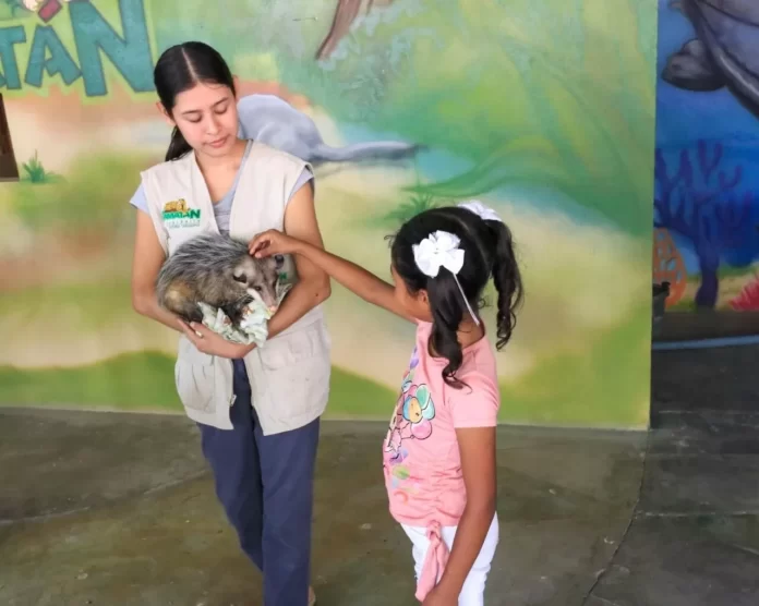 WhatsApp Image 2024-07-29 at 2.43.12 PM