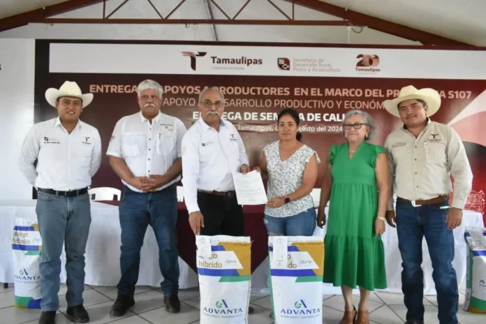 WhatsApp Image 2024-08-06 at 4.54.07 PM