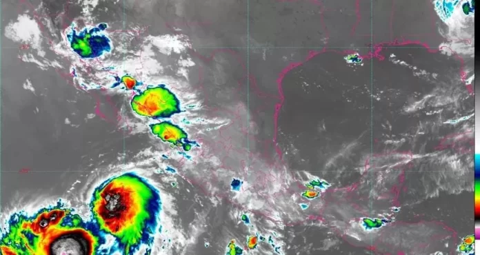 WhatsApp Image 2024-08-06 at 6.54.16 AM