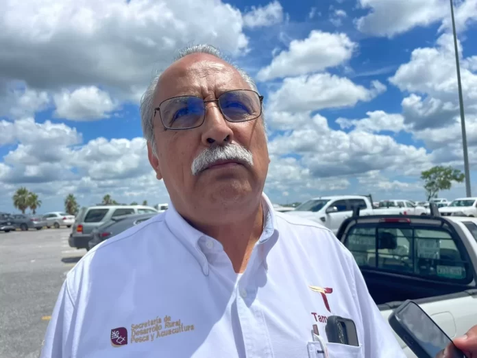 WhatsApp Image 2024-08-12 at 1.16.51 PM