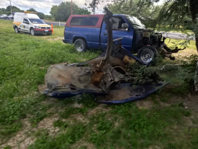 WhatsApp Image 2024-08-12 at 1.35.49 PM