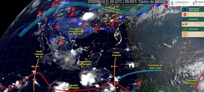 WhatsApp Image 2024-08-12 at 9.56.00 AM