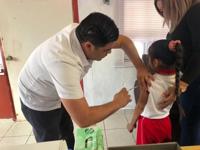 WhatsApp Image 2024-08-13 at 7.46.41 PM