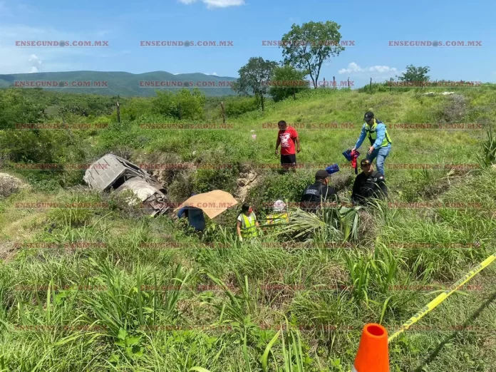 WhatsApp Image 2024-08-14 at 12.31.57 PM (1)