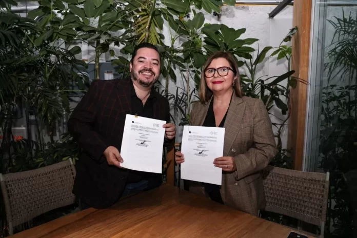 WhatsApp Image 2024-08-14 at 4.50.59 PM