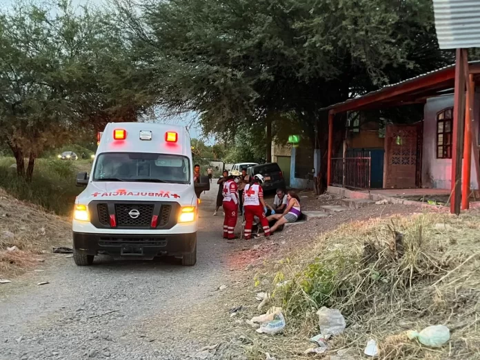 WhatsApp Image 2024-08-14 at 8.56.55 PM