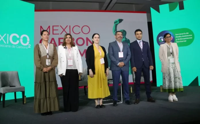 WhatsApp Image 2024-08-15 at 1.59.30 PM