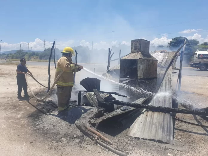 WhatsApp Image 2024-08-21 at 1.26.55 PM