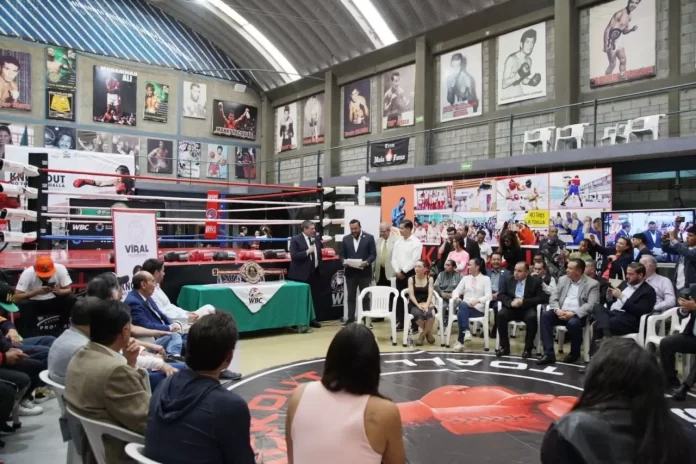 WhatsApp Image 2024-09-03 at 10.40.46 AM