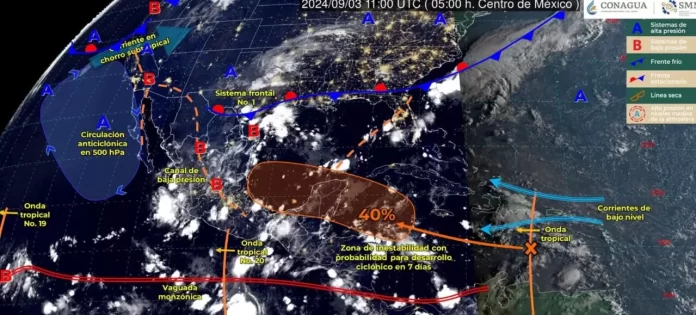 WhatsApp Image 2024-09-03 at 9.03.46 AM