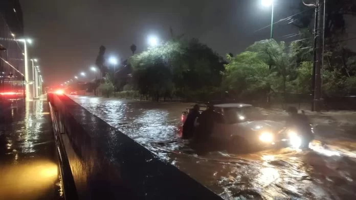 WhatsApp Image 2024-09-03 at 9.49.59 AM