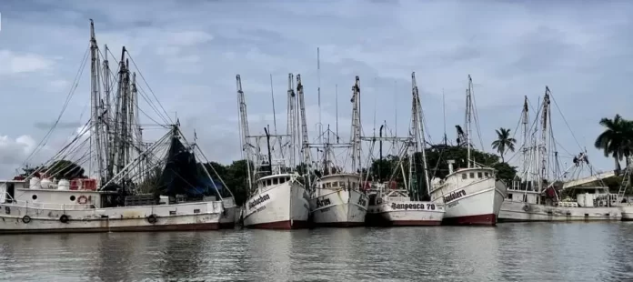 WhatsApp Image 2024-09-07 at 1.46.58 PM