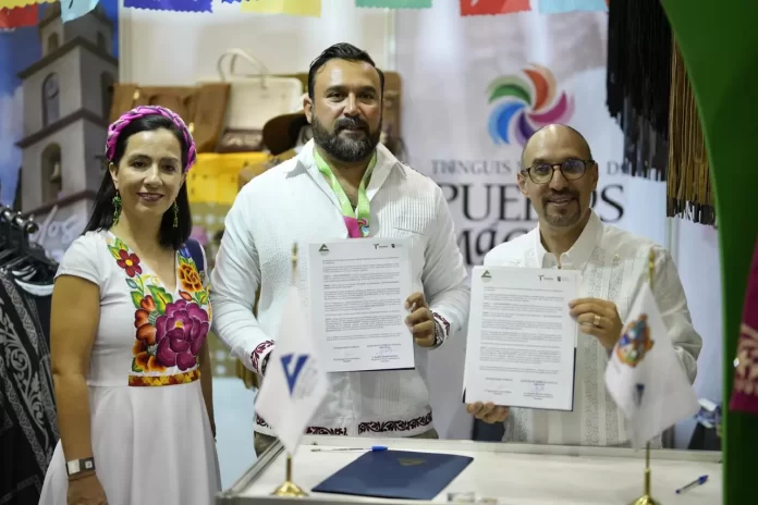 WhatsApp Image 2024-09-11 at 11.27.00 AM