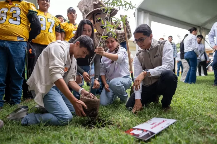 WhatsApp Image 2024-09-11 at 5.47.09 PM (1)