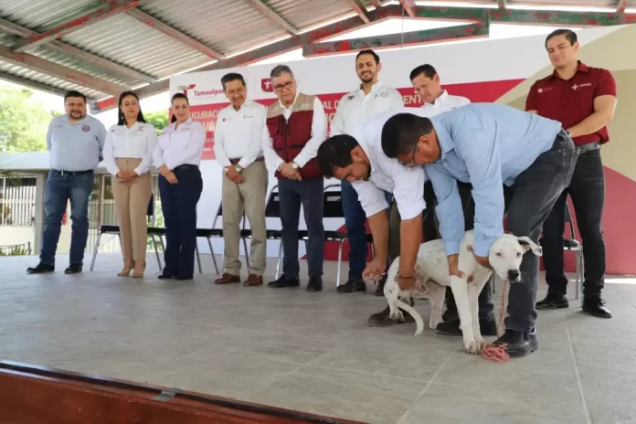 WhatsApp Image 2024-09-24 at 3.21.33 PM