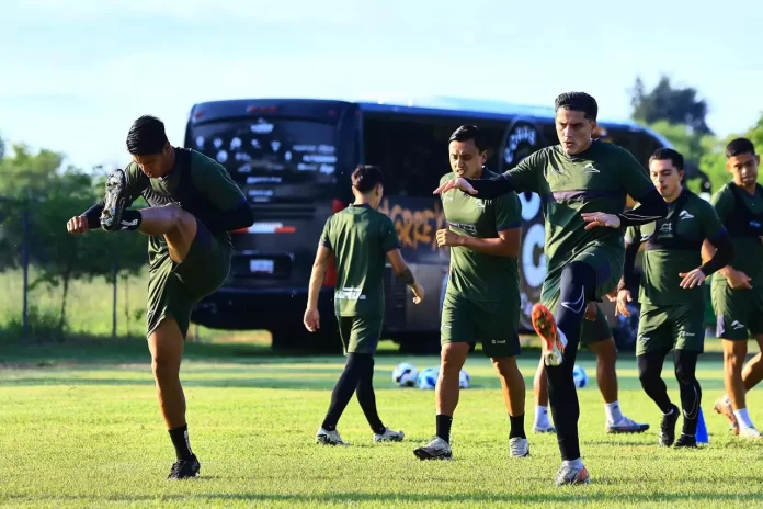 WhatsApp Image 2024-09-30 at 2.00.00 PM