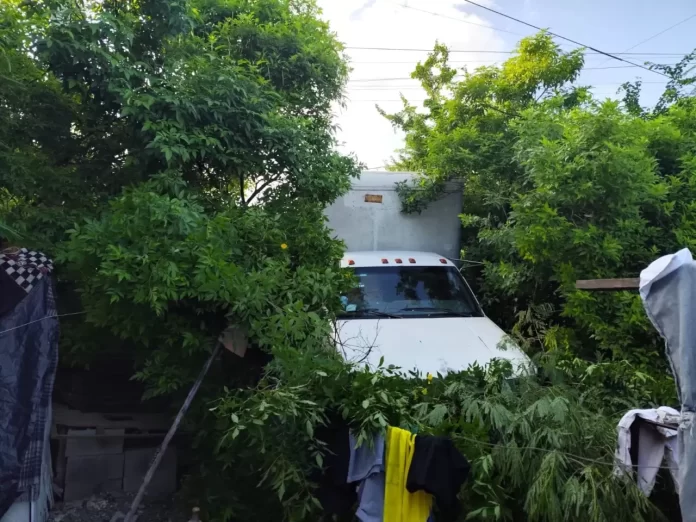 b1515969-718e-4bf2-83c6-c7f54d1f3b11