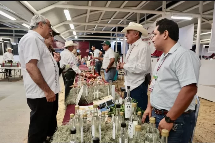 Screenshot_20241011_151113_Drive