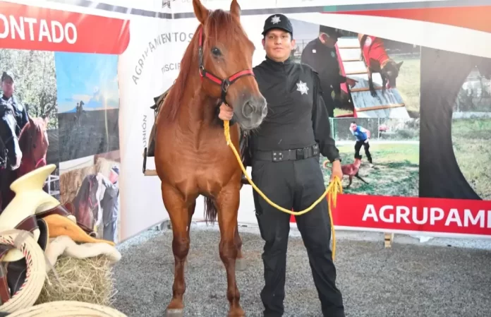 Screenshot_20241027_210307_Drive