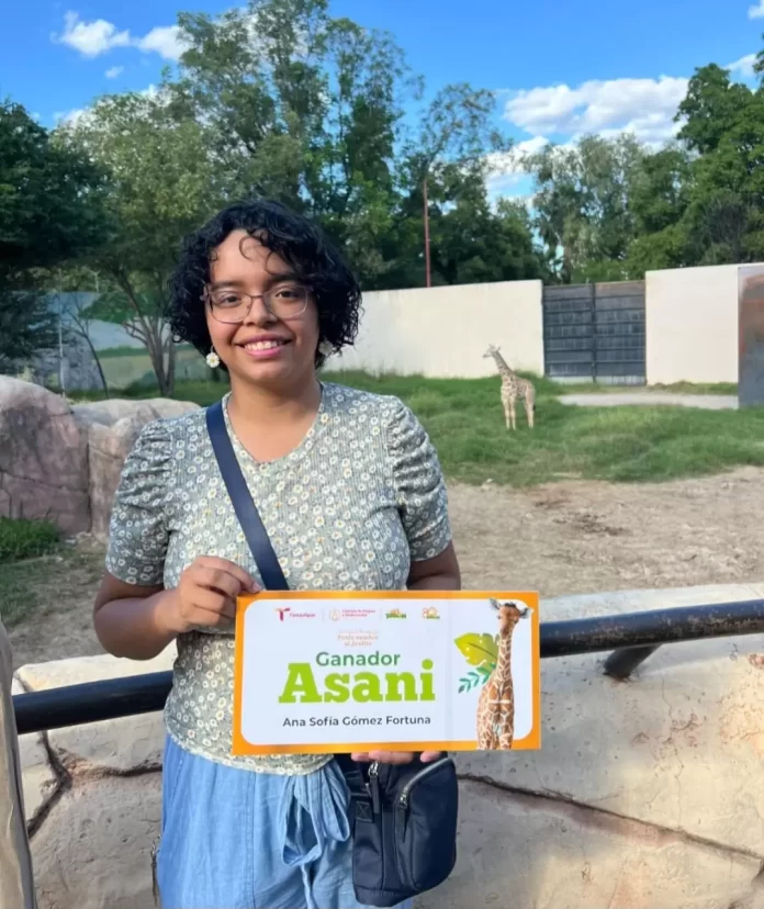 Screenshot_20241027_211906_Drive