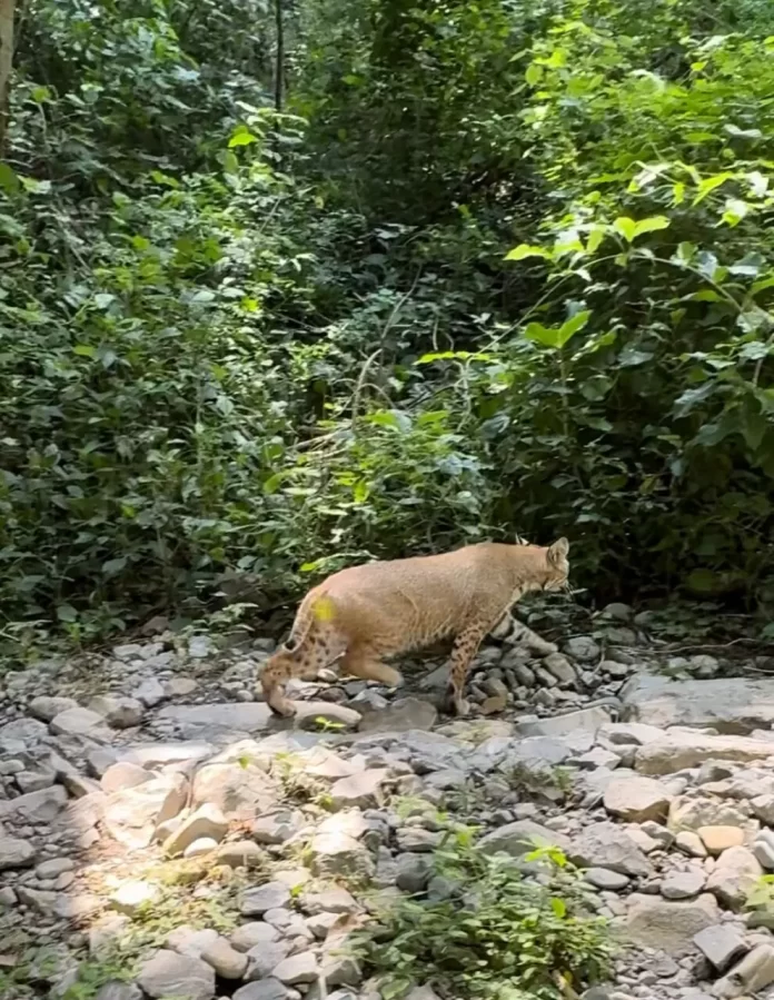 WhatsApp Image 2024-10-03 at 5.04.30 PM