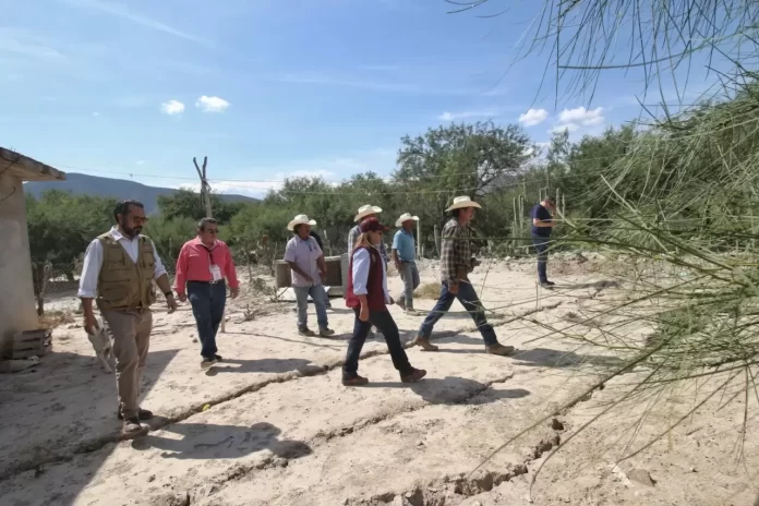 WhatsApp Image 2024-10-04 at 12.38.17 PM