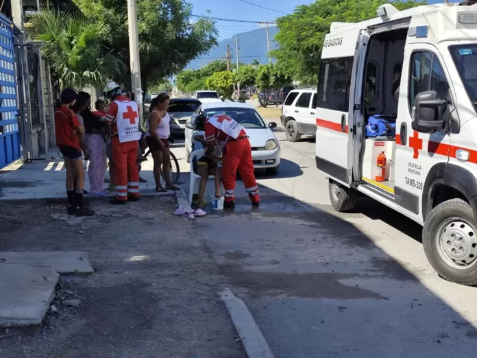 WhatsApp Image 2024-10-06 at 11.24.05 AM