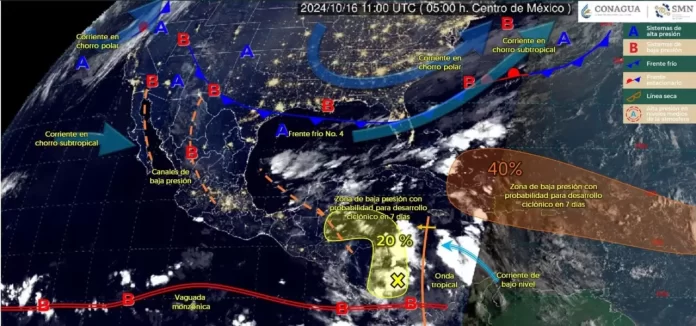 WhatsApp Image 2024-10-16 at 8.49.16 AM