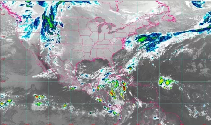 WhatsApp Image 2024-10-17 at 7.06.57 AM