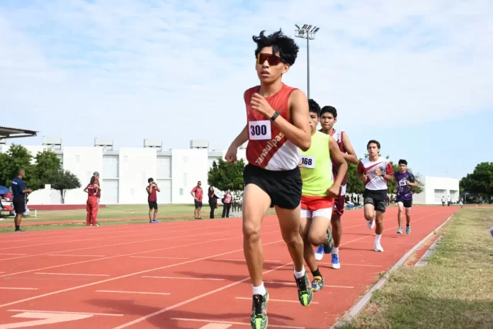 WhatsApp Image 2024-10-23 at 1.39.19 PM