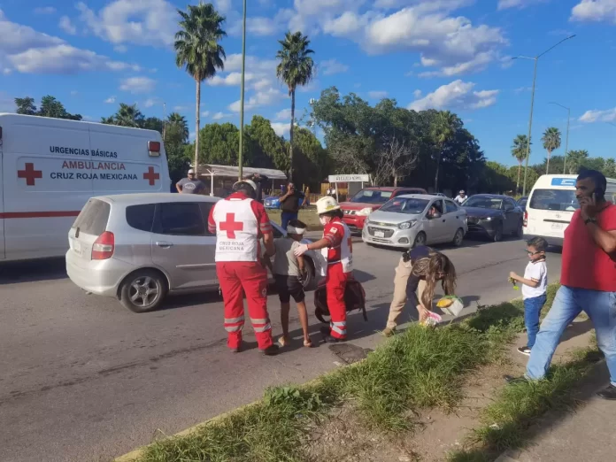 WhatsApp Image 2024-10-28 at 5.37.46 PM (1)