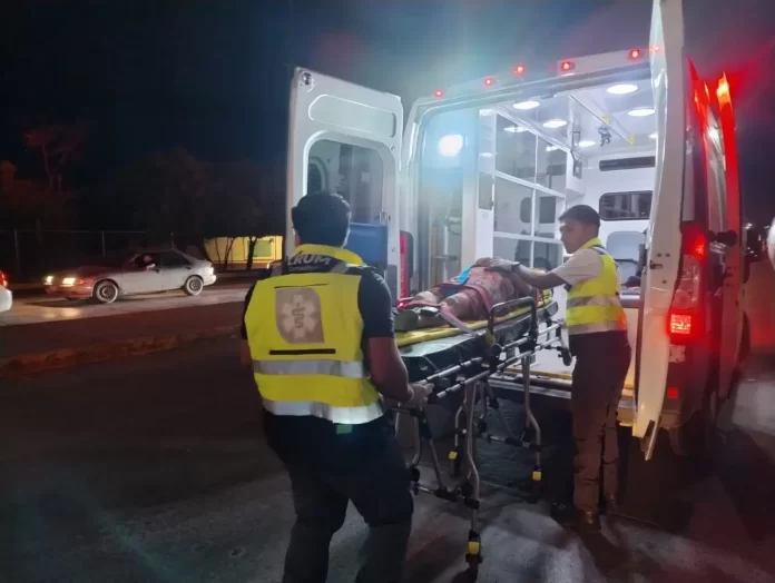 WhatsApp Image 2024-10-28 at 8.21.23 PM