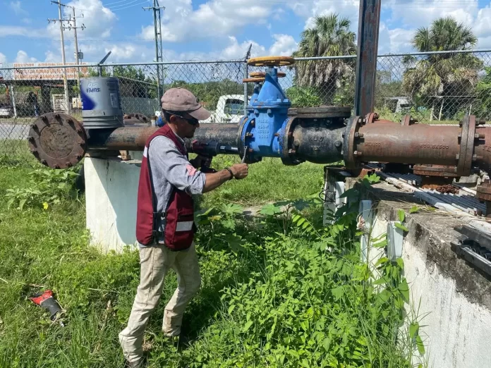 WhatsApp Image 2024-10-29 at 6.12.33 PM