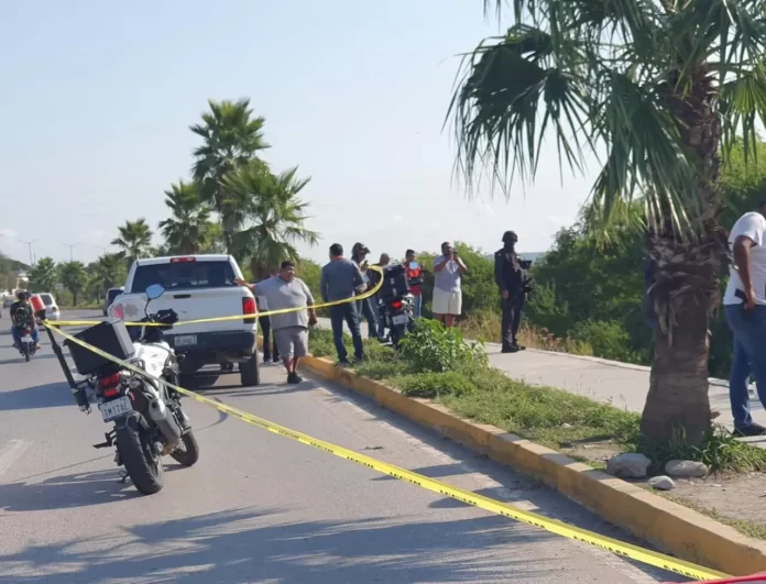 WhatsApp Image 2024-10-30 at 10.41.43 AM