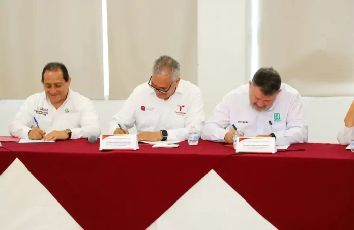 Screenshot_20241112_143340_Drive