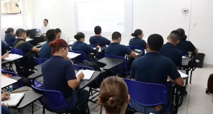 Screenshot_20241114_151255_Drive