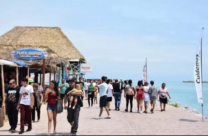 Screenshot_20241125_144959_Drive