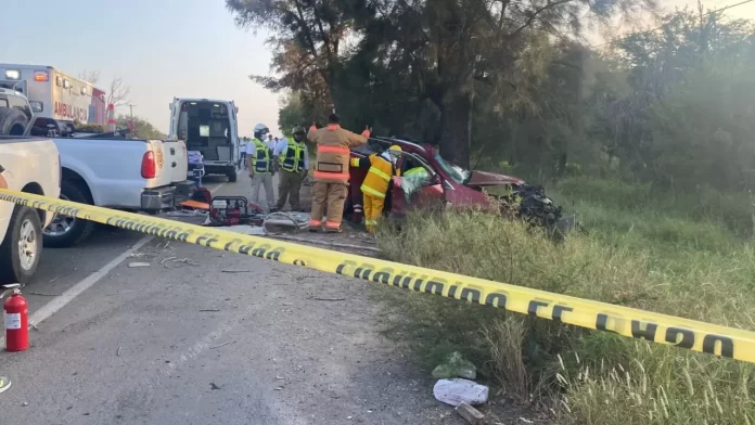 WhatsApp Image 2024-11-05 at 6.43.53 PM