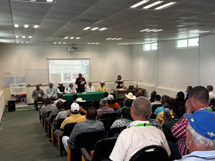 WhatsApp Image 2024-11-19 at 4.34.40 PM