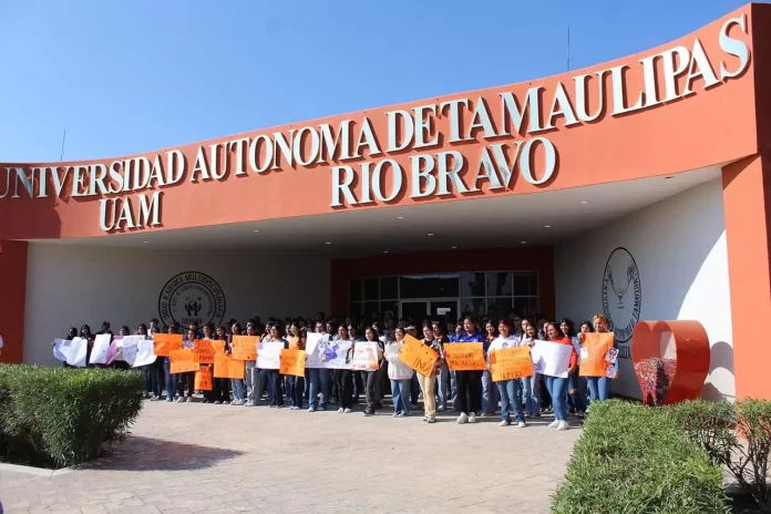 WhatsApp Image 2024-11-26 at 5.40.58 PM