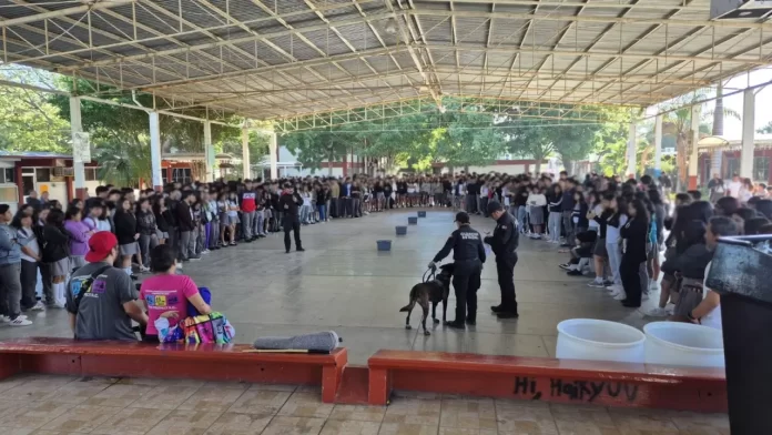 WhatsApp Image 2024-11-27 at 3.22.46 PM