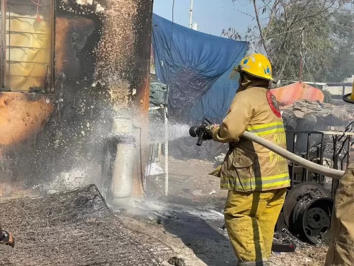 WhatsApp Image 2024-11-28 at 2.57.14 PM