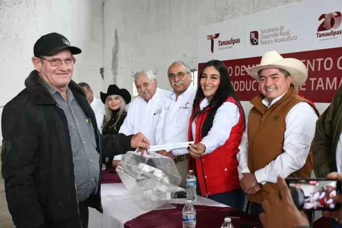 WhatsApp Image 2024-11-29 at 4.13.50 PM