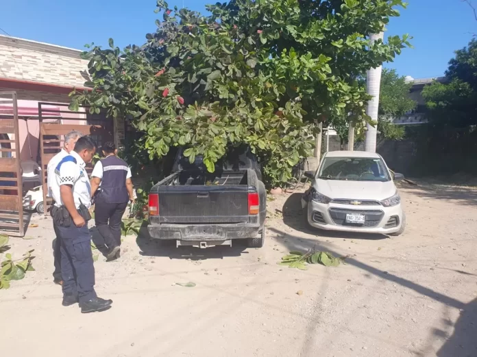 8e686436-d223-420d-992a-7b4e5bcd3036