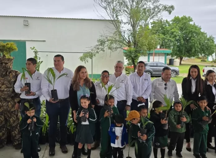 Screenshot_20241205_143951_Drive